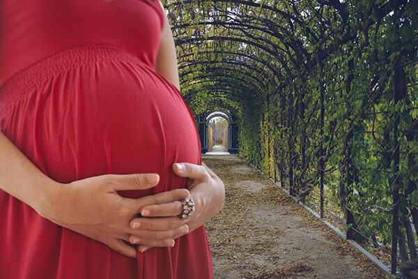 How to Become a Surrogate in Salt Lake City UT, How to Become a Surrogate Mother in Salt Lake City UT, Surrogate Qualifications Salt Lake City UT, Surrogate Mother Qualifications Salt Lake City UT, Surrogate, Surrogates, Surrogate Mother