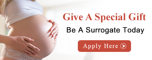 Become A Surrogate Today | Apply Now! Becoming a Surrogate Mother in Salt Lake City UT, Surrogate Mother Salt Lake City UT, Surrogate Salt Lake City UT, Surrogates Salt Lake City UT, Becoming a Surrogate Mother, Surrogate Mother, Surrogate, Surrogates